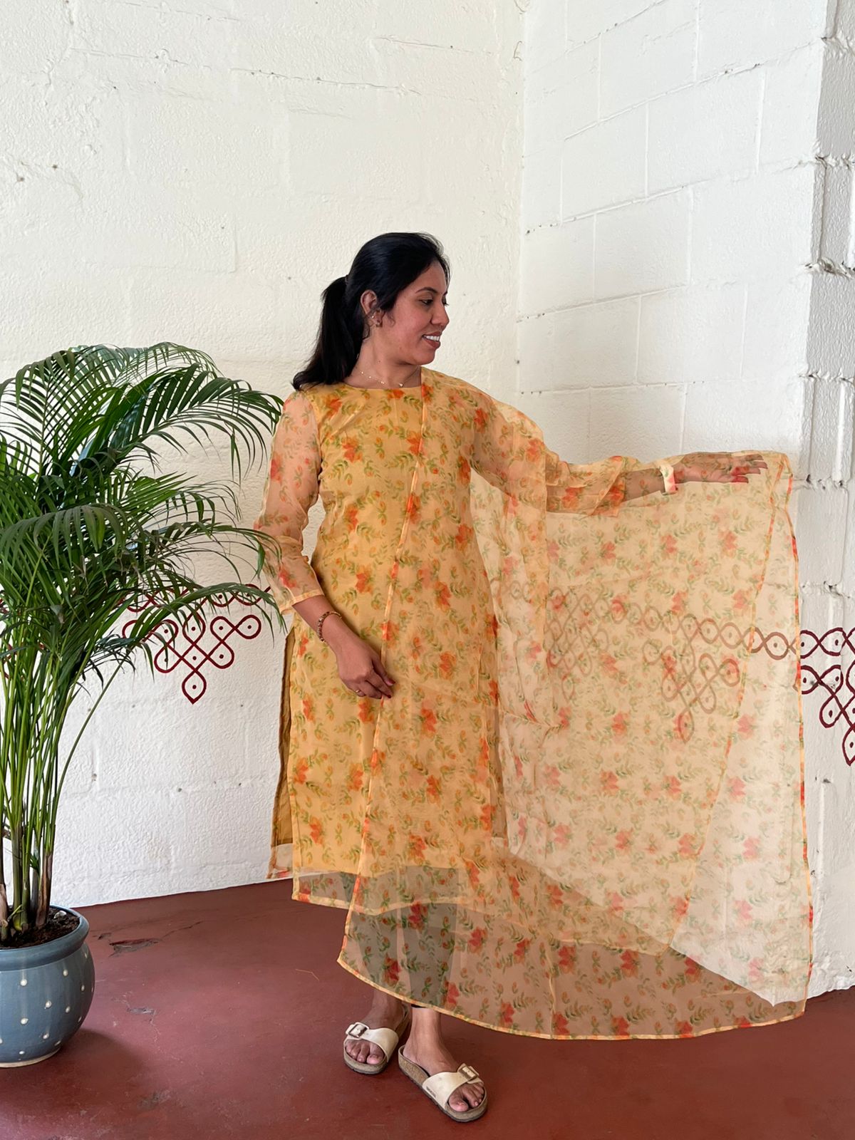 Elegant Organza Kurti & Dupatta