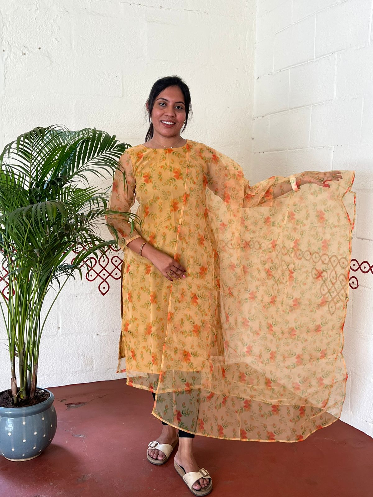 Elegant Organza Kurti & Dupatta